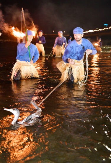 「笛吹川石和鵜飼」が開幕