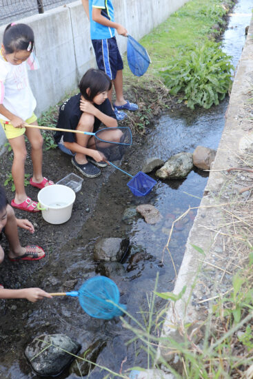 ビオトープ　水路に手作り　「生態系学ぶ場に」