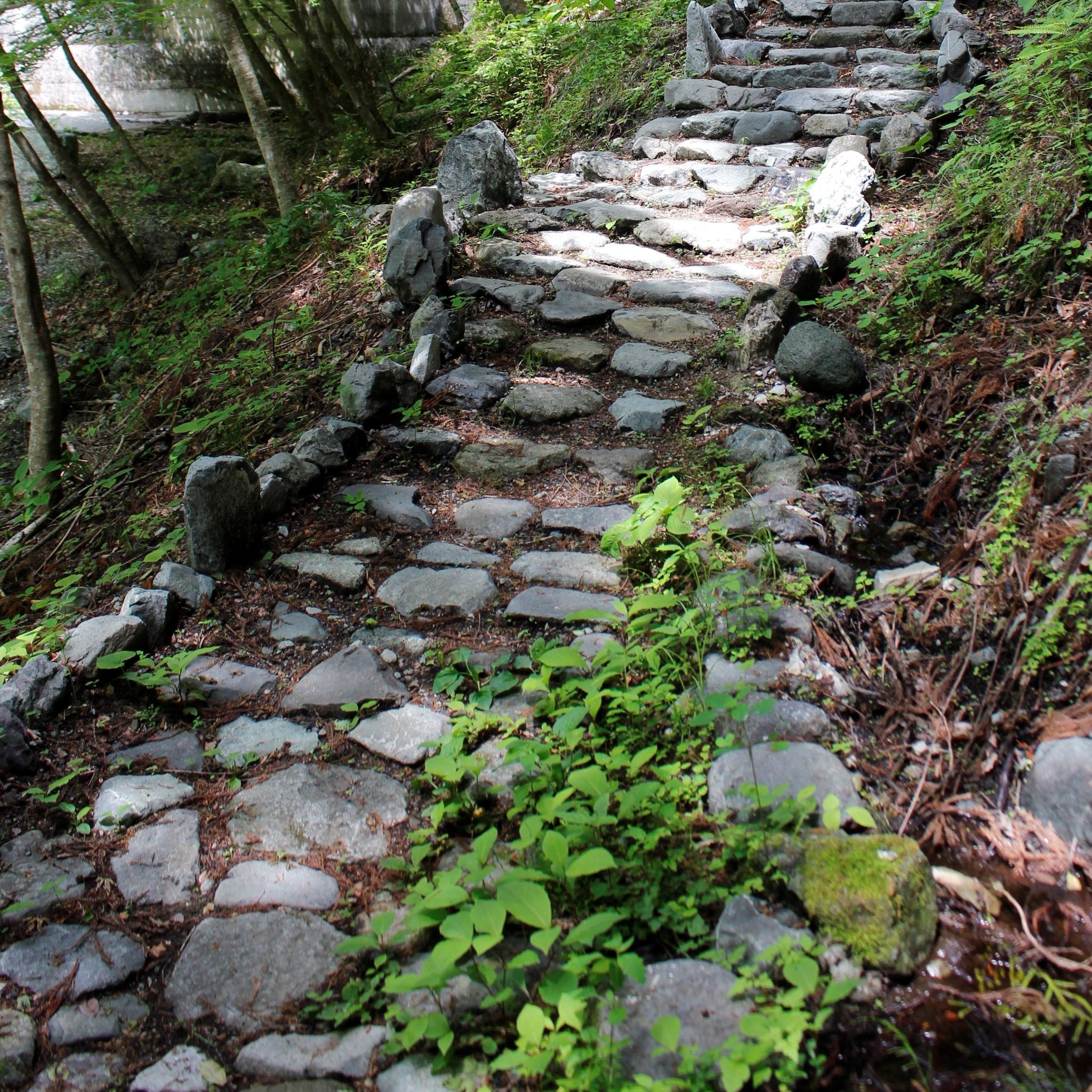 富士川の旅館 遊歩道を改修 妙連の滝 往来しやすく 海と日本project In やまなし