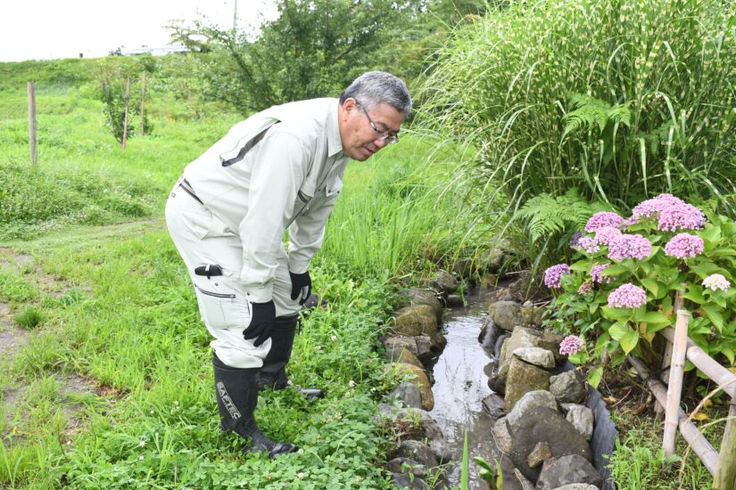 ホタル舞う風景再び 大村智さんの生家周辺「名所に」 韮崎・会社経営男性が環境整備