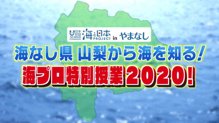 【15】海プロ特別授業2020！
