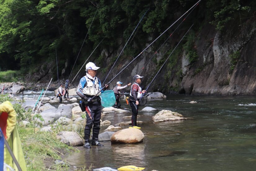 桂川アユ釣り解禁　５０匹以上の釣果も