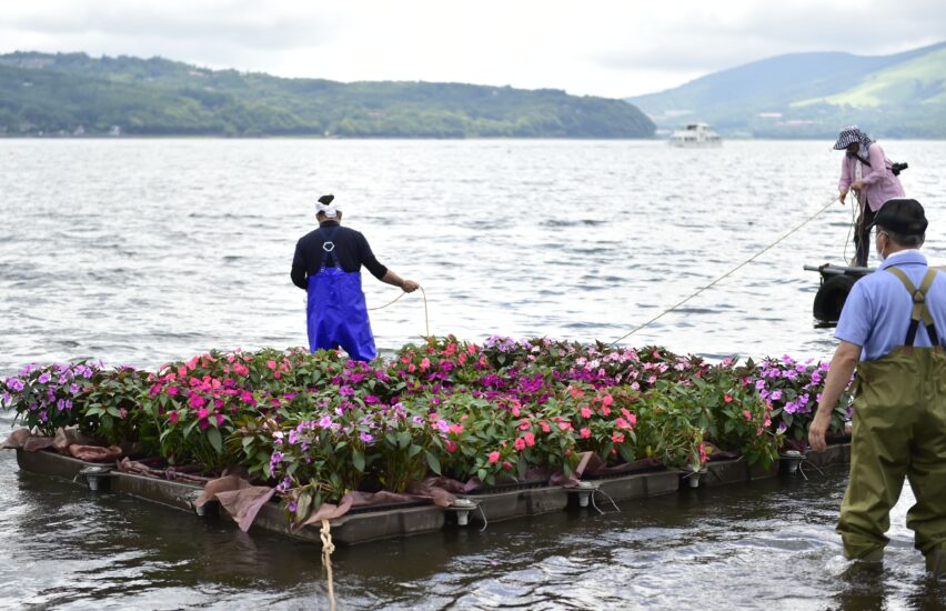 山中湖に花浮かべ「空気をきれいに」