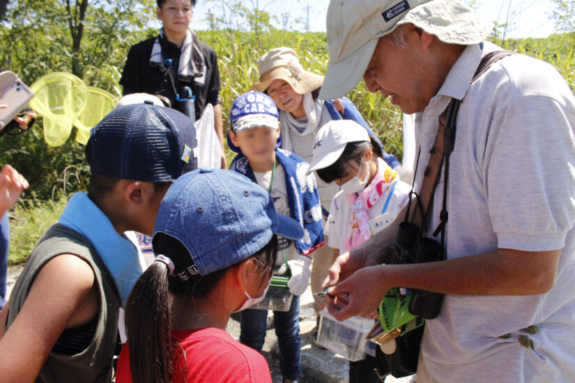 河原で自然観察２０年「身近な生き物愛着を」