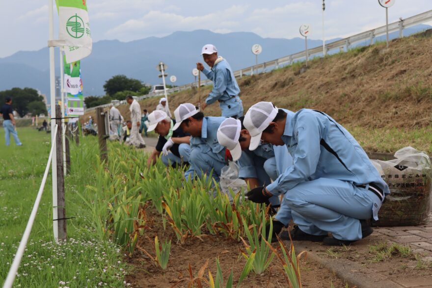 荒川河川敷で草取りや清掃