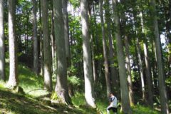 養老の森　自然共生サイトに