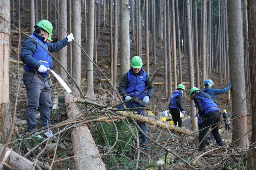 小菅村で林業ボランティア　