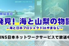 【総集編番組 放送決定！】発見！海と山梨の物語　～海と日本プロジェクトinやまなし～